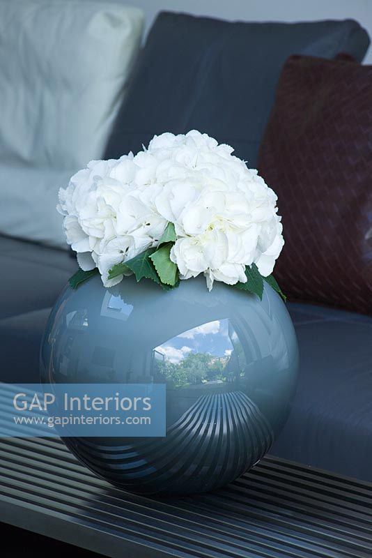 Détail de l'hortensia blanc fleurir dans un vase bleu sphérique.