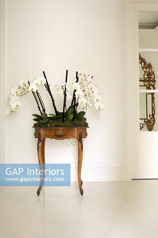 Table console avec affichage d'orchidées dans le couloir