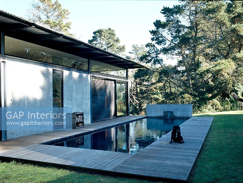 Chien assis sur une terrasse en bois à côté de la piscine