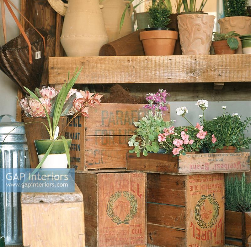 Vue de plantes en pot et vase à fleurs sur des boîtes en bois