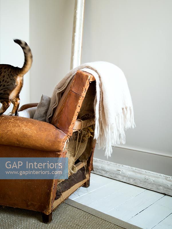 Fauteuil vintage en cuir avec jeté en laine et chat bengal