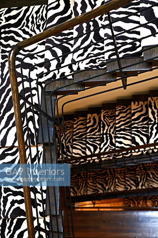 Vue des escaliers avec tapis imprimé animal