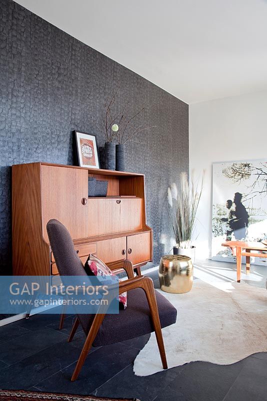 Salon moderne avec mobilier rétro