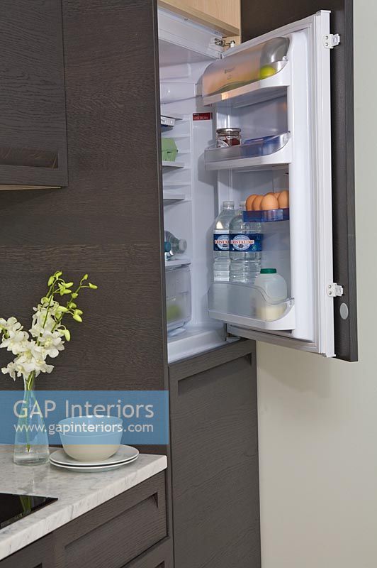 Réfrigérateur-congélateur de cuisine moderne, détail