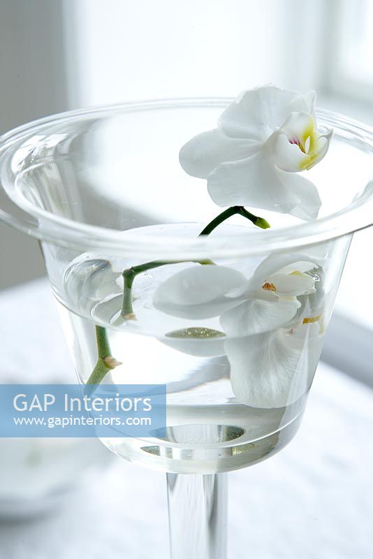 Orchidées blanches en verre, détail