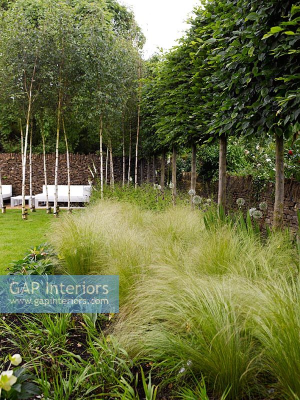 Jardin minimal avec des herbes en bordure
