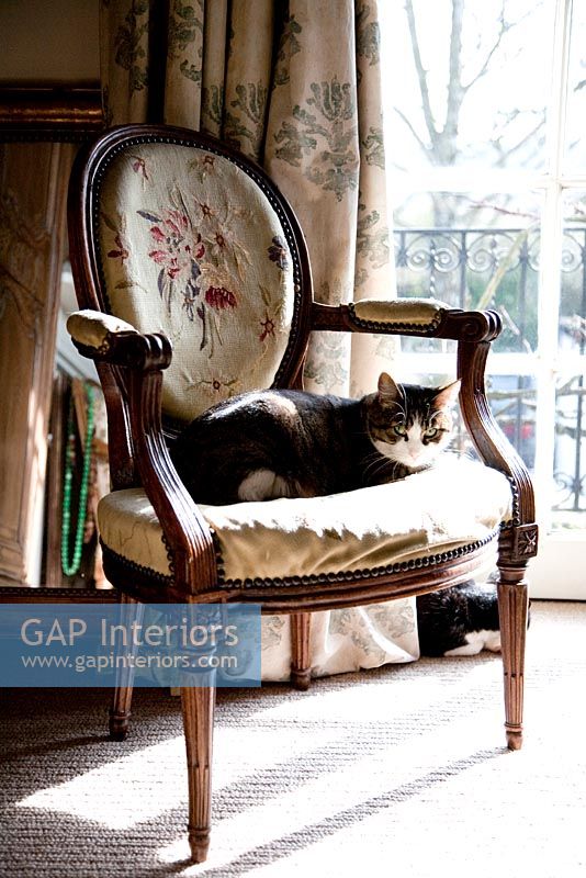 Chaise classique avec chat