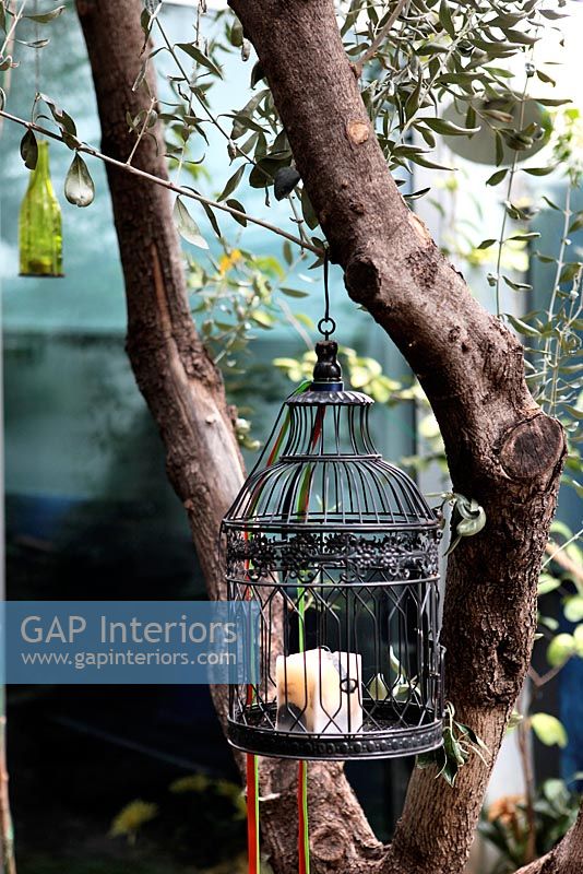 Cage à oiseaux suspendu à un arbre