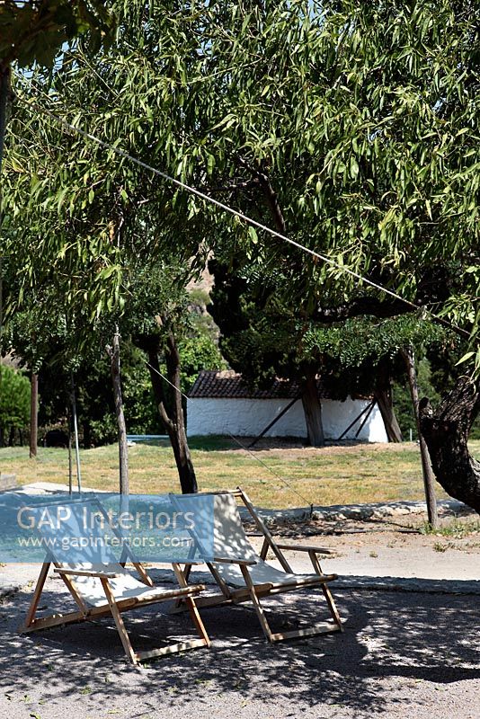 Chaises longues à l'ombre d'un arbre