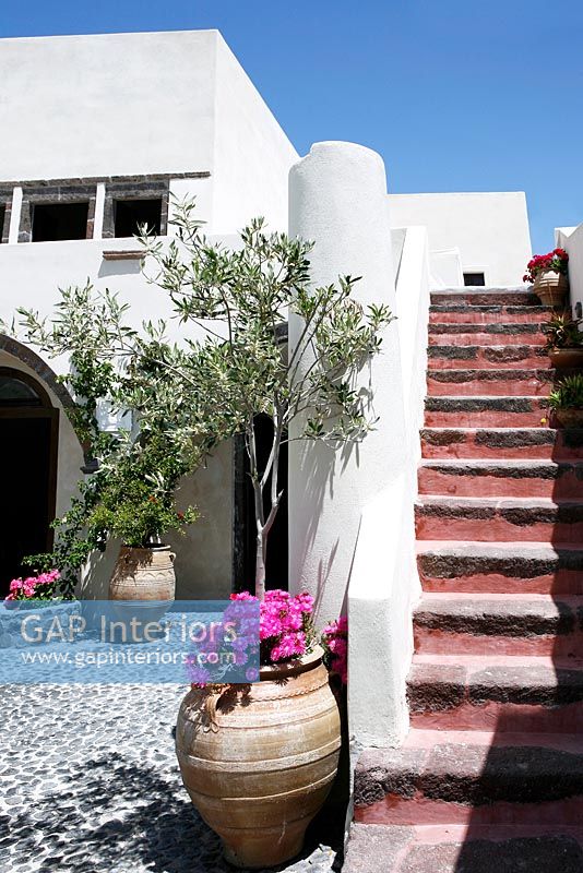 Villa avec escalier extérieur et géraniums et olivier dans une urne en terre cuite