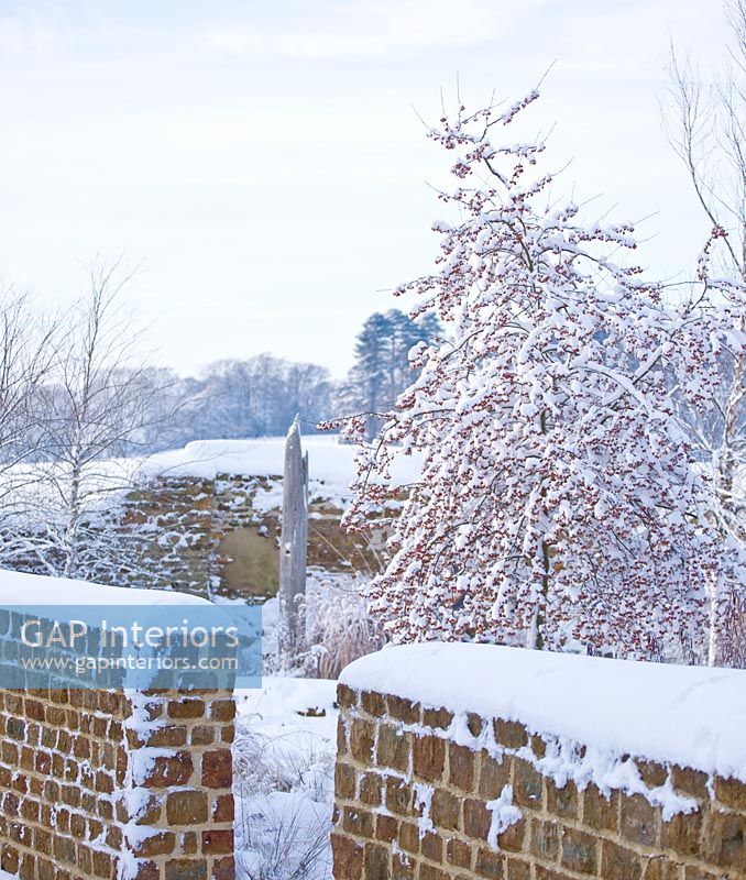 Jardin de campagne sous la neige avec pommetier 'Sentinelle rouge'