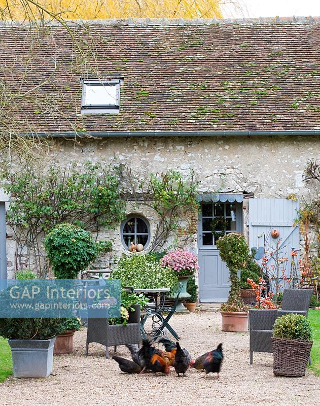 Ferme traditionnelle restaurée avec jardin sur cour, France