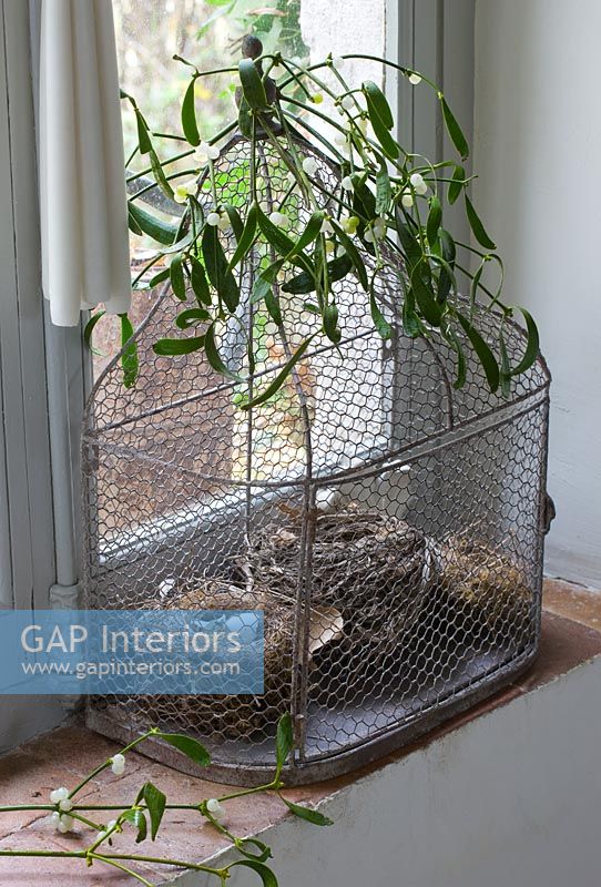 Cage à oiseaux décorative avec nids et gui