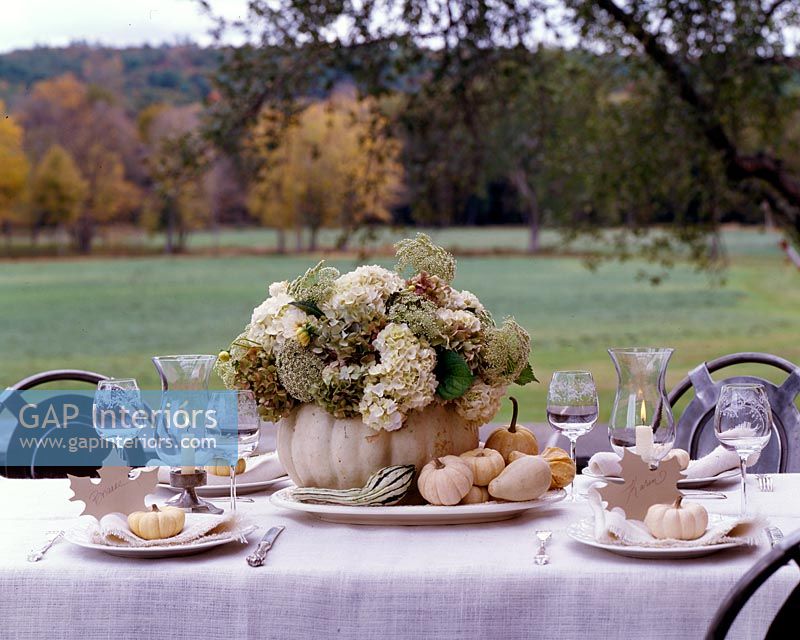 Set de table de jardin pour repas d'automne