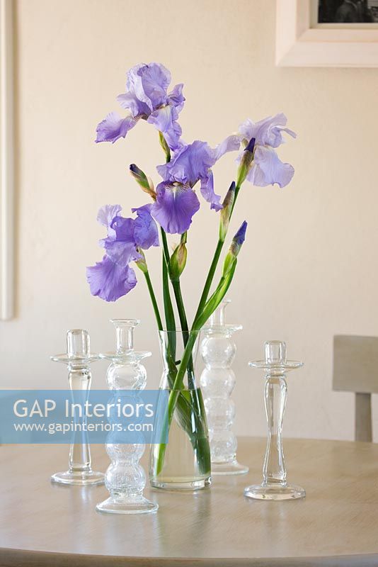 Iris violets dans un vase en verre