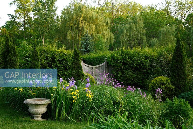 Frontières colorées avec des iris dans un jardin de campagne