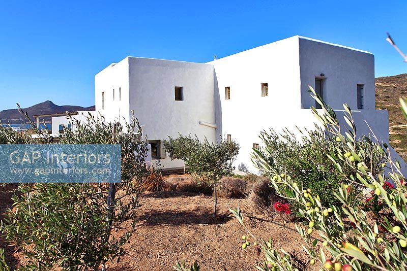 Villa grecque traditionnelle et oliviers