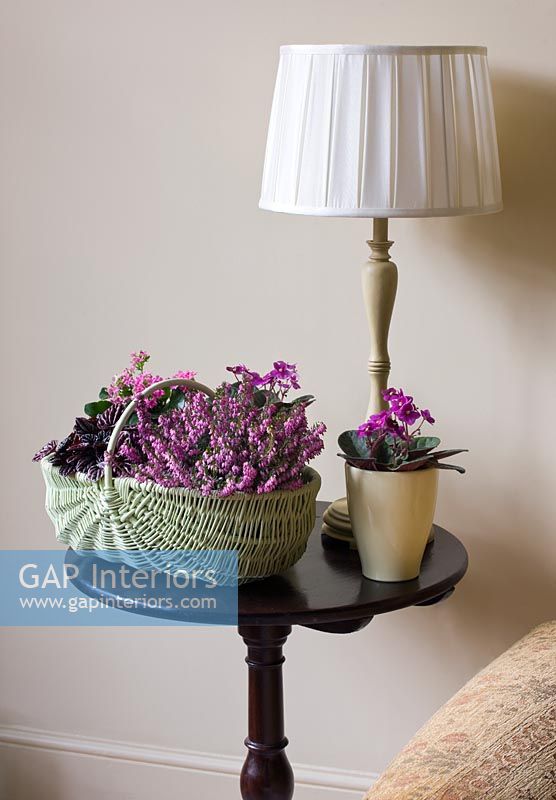 Fleur de bruyère, violettes africaines et flamboyante Katy en pots