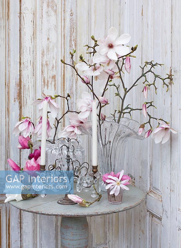 Tiges de magnolia dans un vase en verre