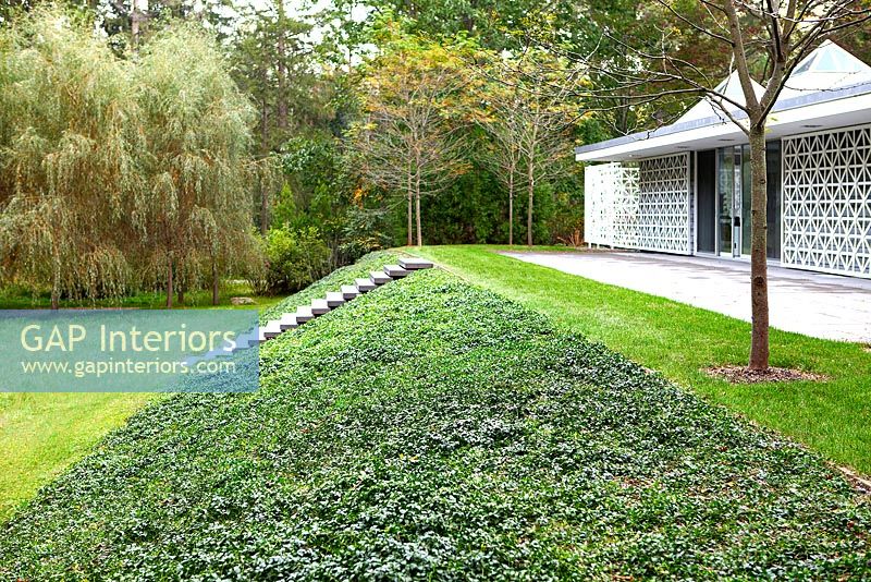 Maison contemporaine et jardin avec pelouse