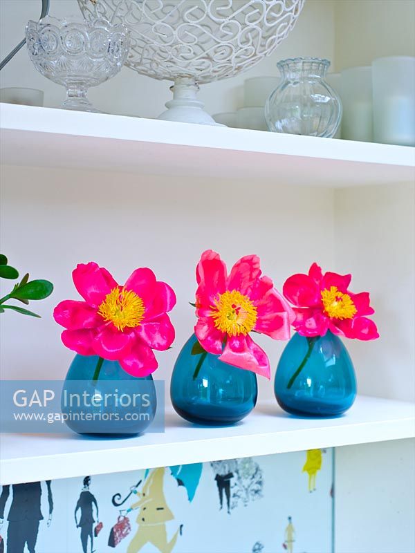 Fleurs de camélia dans des vases bleus