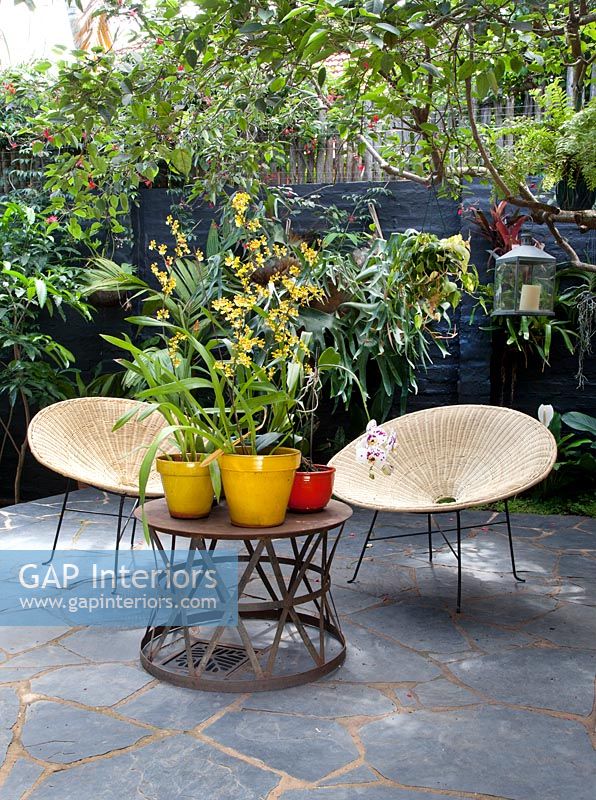 Plantes en pot colorées sur table de patio