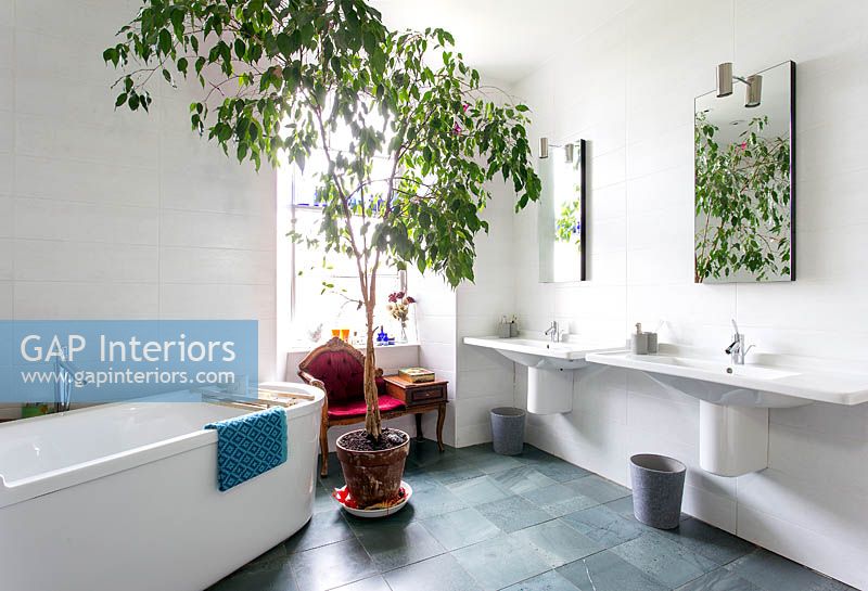 Salle de bain moderne avec grande plante d'intérieur