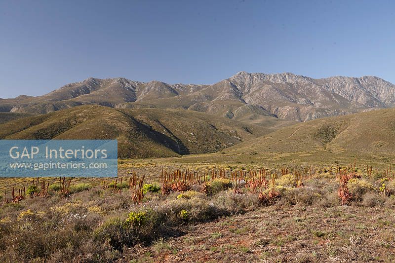 Montagnes de Langeberg, Afrique du Sud