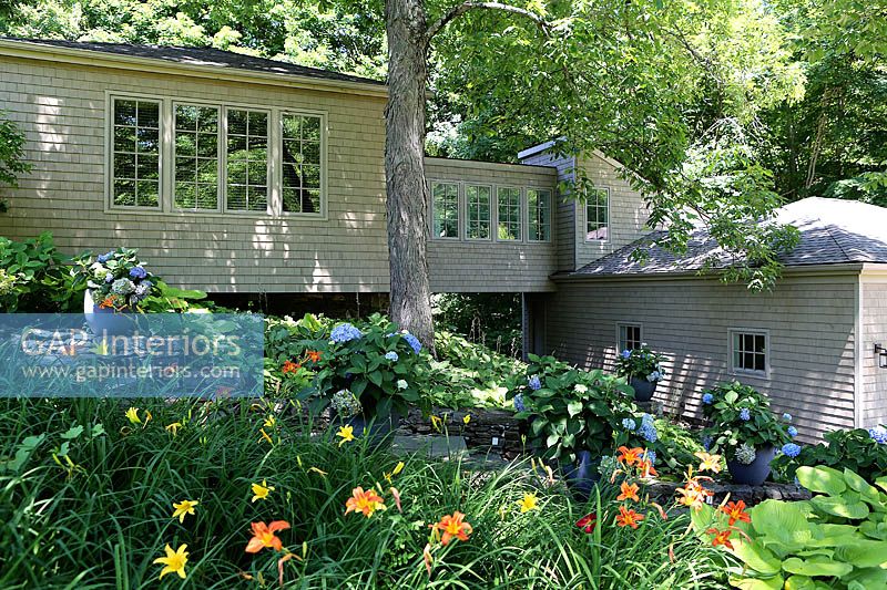Maison moderne et jardin coloré avec hortensias et hémérocalles