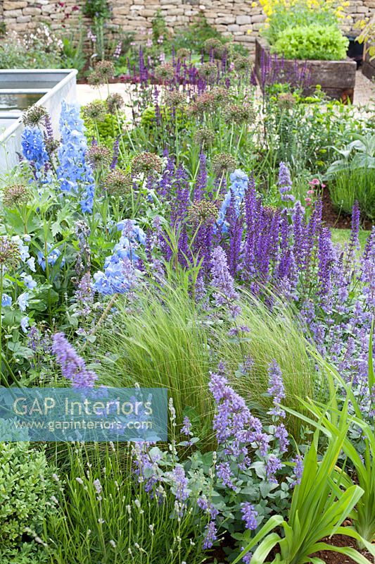 Bordure de jardin colorée avec des fleurs de lavande, de menthe verte et de delphinium