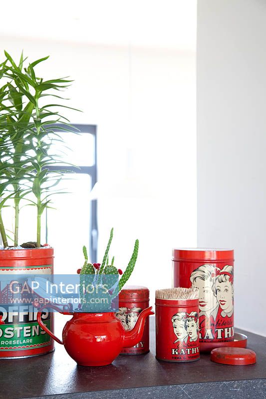 Plantes d'intérieur en pots recyclés
