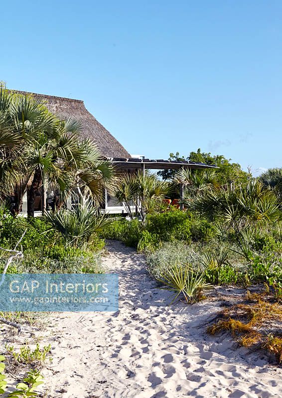 Maison de plage entourée de palmiers
