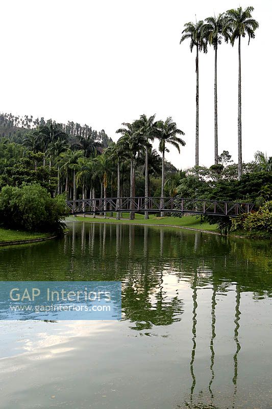 Jardin tropical avec lac