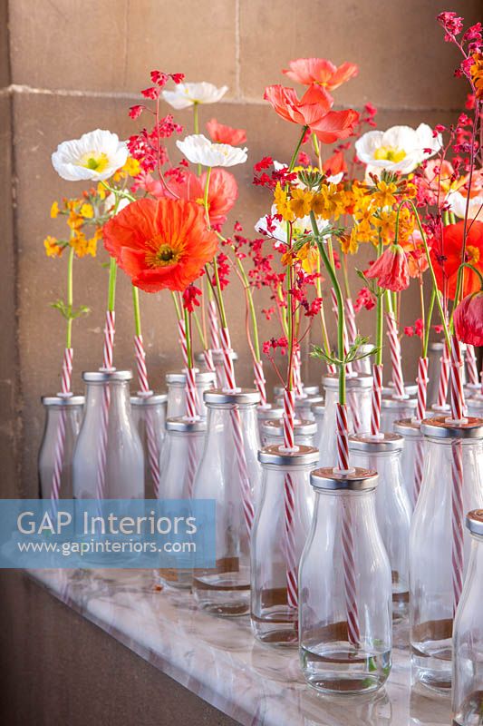 Affichage floral avec des coquelicots et des fleurs de primevère dans des bouteilles de lait rétro