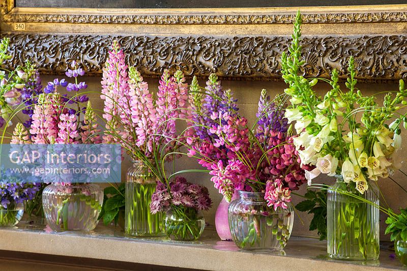 Affichage floral sur le manteau à l'entrée nord avec des pots de Lupin, Astrantia, Campanula, Digitalis, Mint et Millet