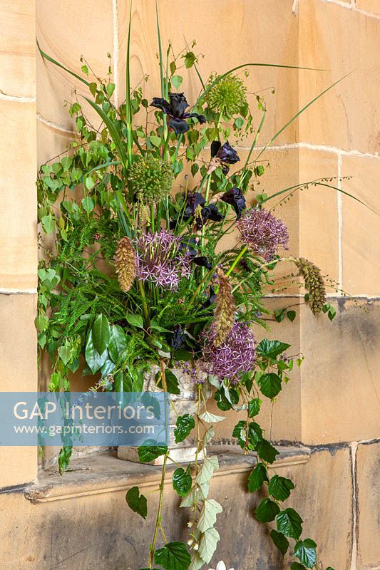 Allium Cristophii, Iris barbu et Candytuft fleurs en urne