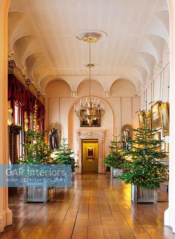 Arbres de Noël dans des bacs versailles dans la longue galerie, Castle Howard