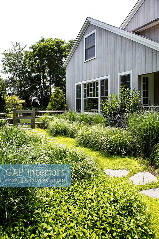 Bordures de jardin avec des herbes ornementales