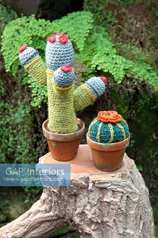 Ornements de cactus colorés