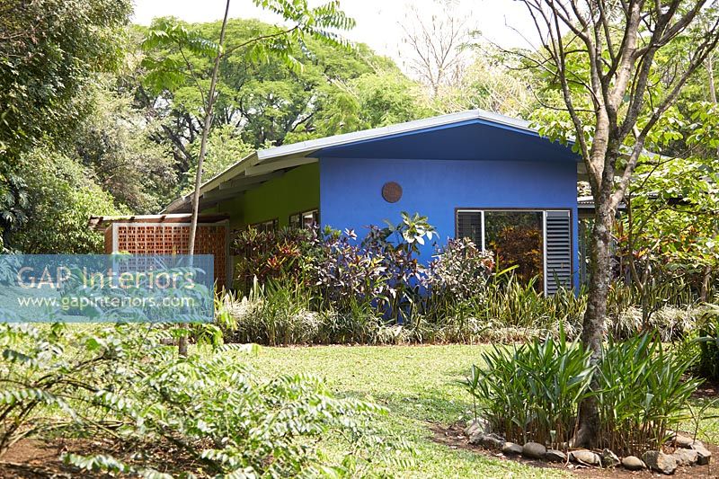Jardin tropical et bâtiment coloré
