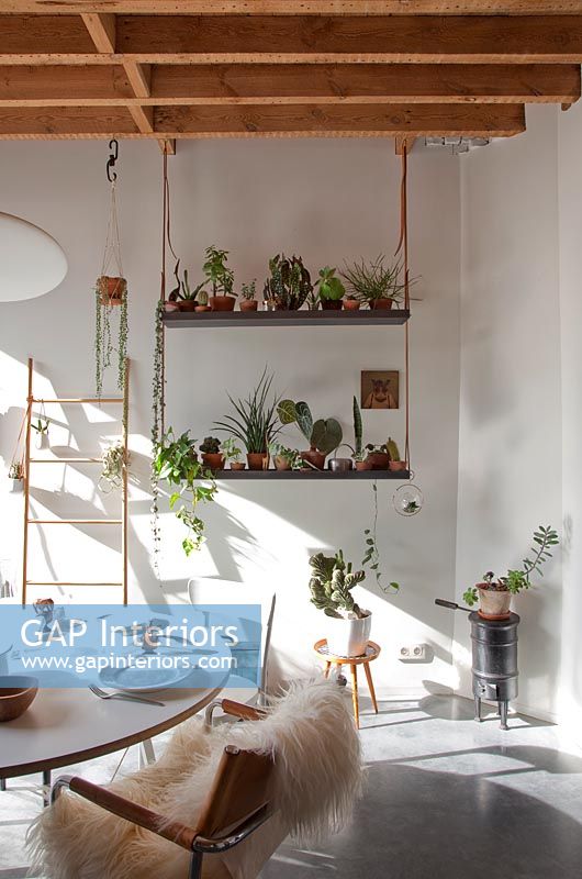 Salle à manger moderne avec présentoir de plantes d'intérieur
