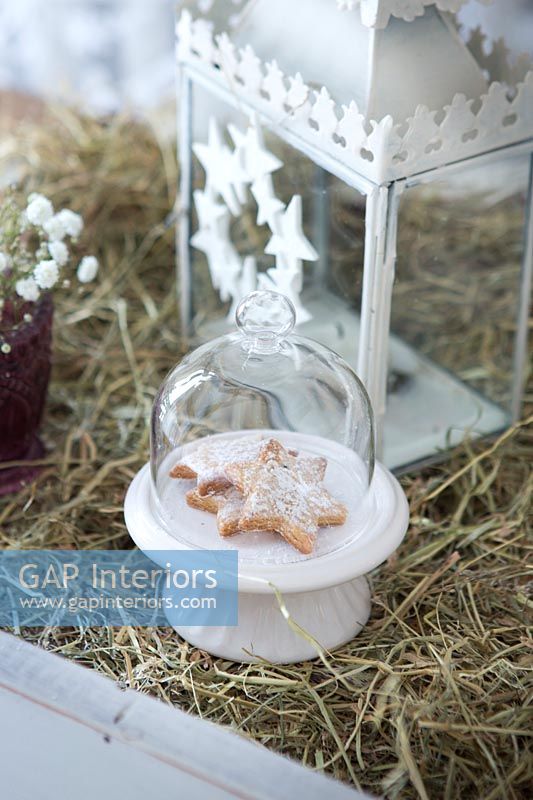 Détail de biscuit miniature en dôme de verre