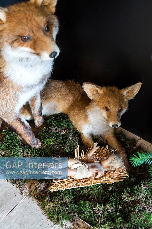 Détail de renards en peluche dans l'affichage de Noël