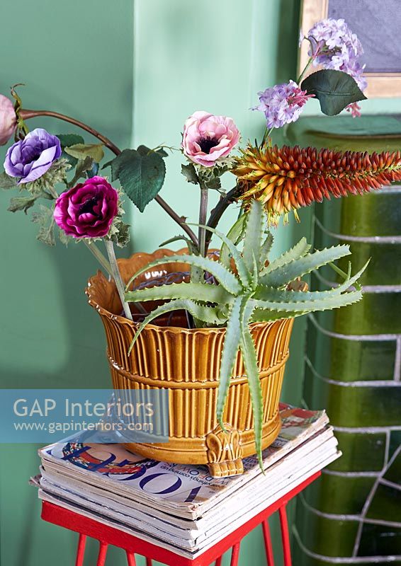 Plante d'intérieur et fleur en pot en céramique