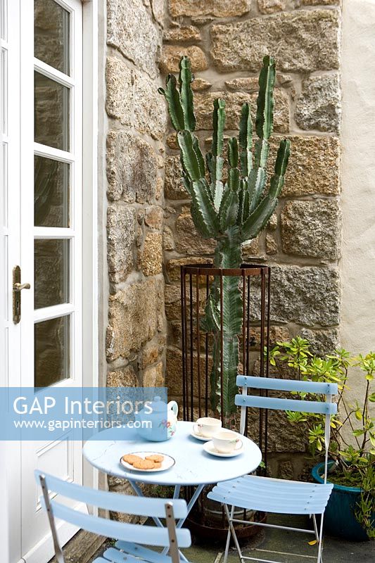 Table de style café sur terrasse avec grande plante de cactus