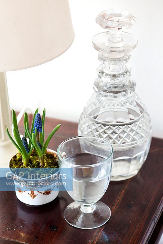 Carafe et verre sur table d'appoint avec jacinthe de raisin en pot en fleur