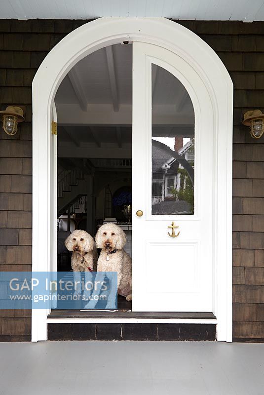 Porte d'entrée traditionnelle avec chiens de compagnie