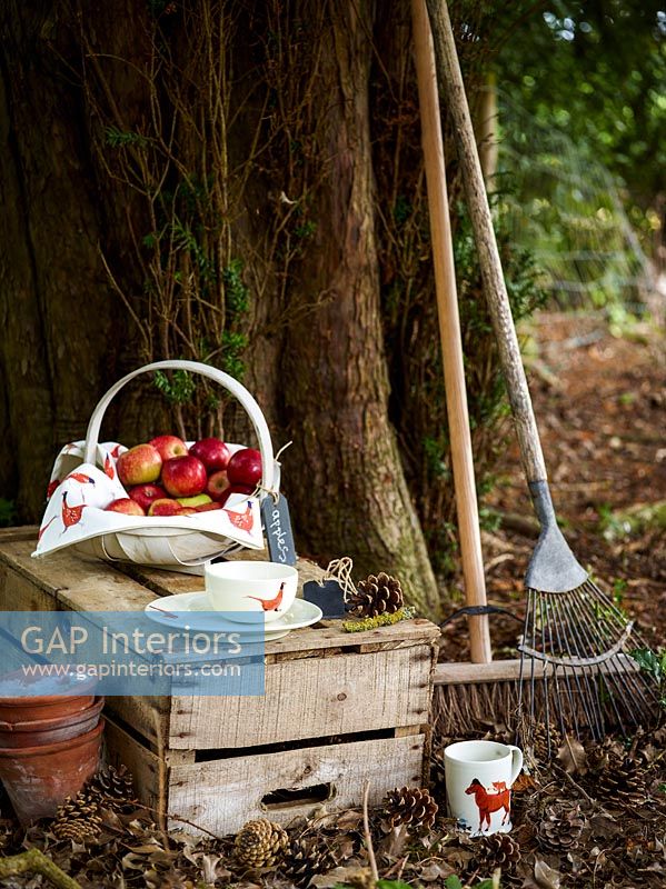 Détail jardin avec panier de pommes
