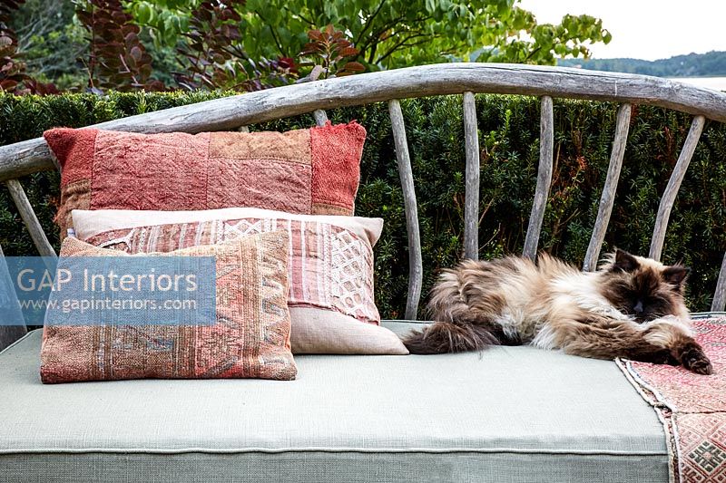 Chat dormant sur un banc extérieur