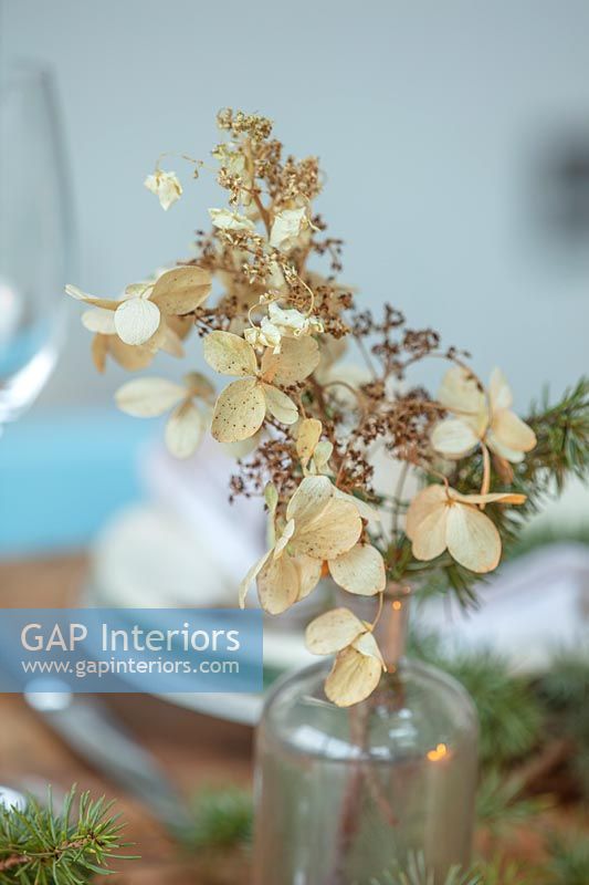 Fleurs d'hortensia séchées dans un vase comme décoration de table de Noël
